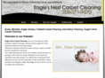 eaglesnestcarpetcleaning.com