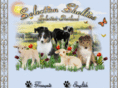 selectionshetland.com
