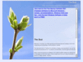 thebud.com