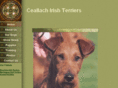 ceallach-irishterriers.com
