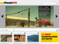 adflashtv.com