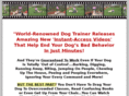 instantdogtrainingvideos.com