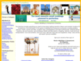 mexicoweddingdirectory.com