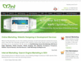 mintinfosolutions.com