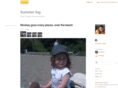 summerfog.com