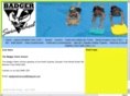 badgerswimschool.com