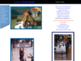 lionsbasketball.net