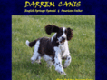 darremcanis.com