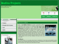 madinaprojects.com