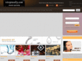 vivojewelry.com