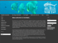 bigblueconservation.com