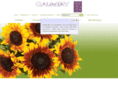 pasadenaflowergallery.com