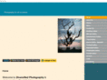diversifiedphotography.com