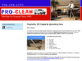 professionalcarpetcleanersnc.com