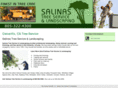 salinastreesvce.com
