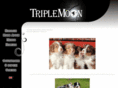 triplemoon.ru