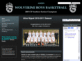 alisobasketball.com