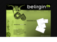 belirgin.com