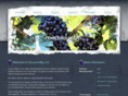 concordmfg.com