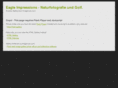 eagle-impressions.com