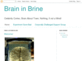 braininbrine.com