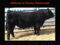 fischersimmentals.com