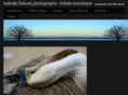 idebost.com