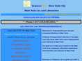 towncarusa.com