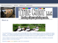 truecolorprint.com