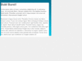 bublburst.com