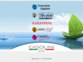cigolinigroup.com