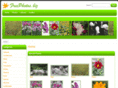 freephotos.biz