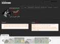 gsdck.com