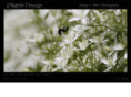 pilgrimdesign.net