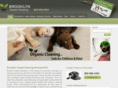 brooklyncarpetcleaning-nyc.com
