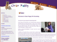 cleanpuppypetgrooming.com