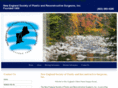 neplasticsurgery.com
