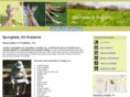 podiatristspringfieldohio.com
