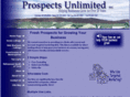 prospectsunlimited.com