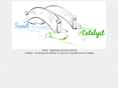 sweetcatalyst.com