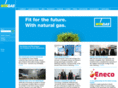 nel-pipeline.com