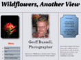 wildflowersanotherview.com