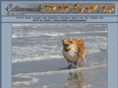 colliemaus.de