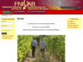 fnivab.com