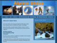 alpineshine.com