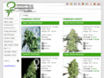 feminised-seeds.com