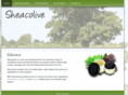 raananinc.com