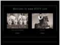 vesty.com