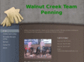 walnutcreekteampenning.com