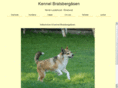 bratsbergaasen.com